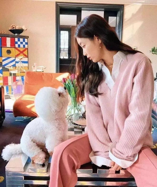 门徒登录：今年春夏的裤子，彩色的更好看！